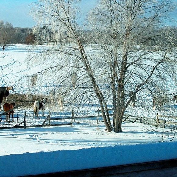 Meet your Posher, Sheila - Picture 1 of 1